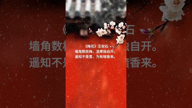 王安石《梅花》墙角数枝梅，凌寒独自开，遥知不是雪，为有暗香来。#唐诗