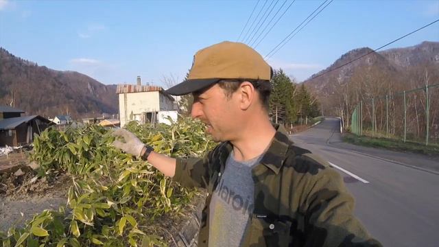 T.G.I.Earth Day Neil Vlog 2016.4.22 смотреть онлайн