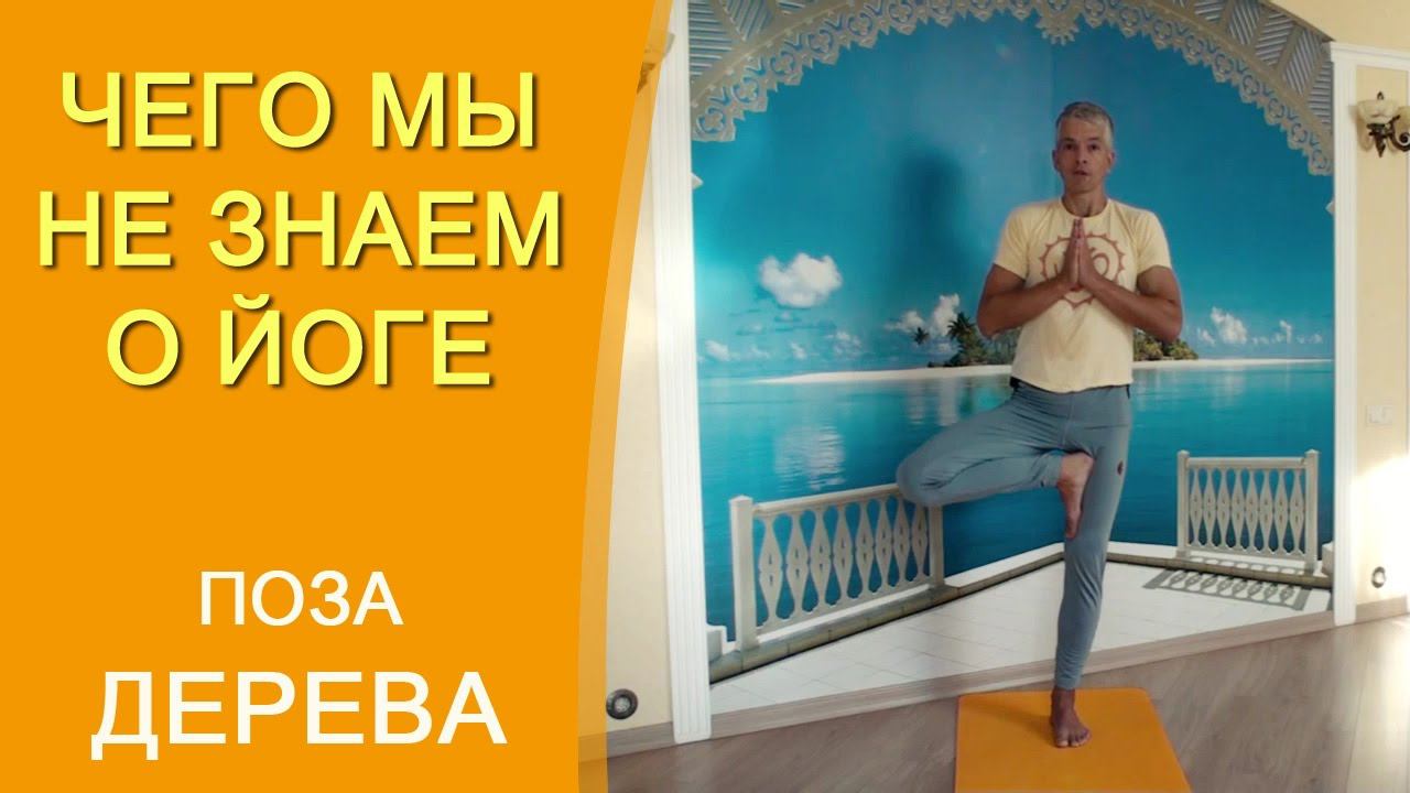Поза дерева. Врикшасана - техника выполнения в деталях. Чего мы не знаем о йоге!