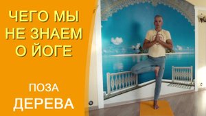 Поза дерева. Врикшасана - техника выполнения в деталях. Чего мы не знаем о йоге!