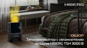 Тепловентилятор с увлажнителем воздуха HIBERG TSH 3000 B