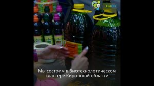 Биогазовые Установки от «СельхозБиоГаз» – Переработка Органических Отходов в Энергию и Удобрение