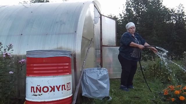 Посадила усы виктории//Готовлю воду в прозапас.