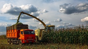 ОСП агро: мы работаем как единый механизм и у нас все получается!