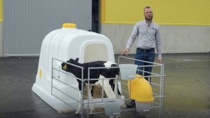 Индивидуальные домики для телят #корова #теленок #животноводство #домикидлятелят #оборудование