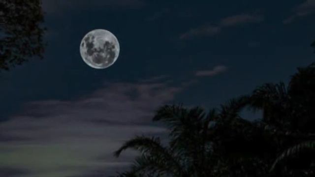 Wake Me Up - Morgan James смотреть онлайн