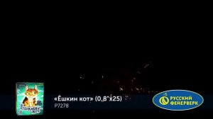Ёшкин кот Р7278