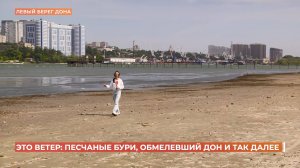 Пыльные бури и обмелевший Дон: причины ростовской непогоды