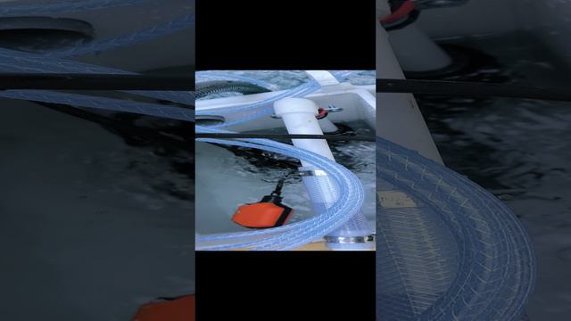 Мистер Септик4