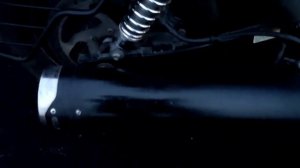 HARLEY DAVIDSON STREET 750 SUPER LOUD FULL EXHAUST SOUND SCREAMING EAGLE EXHAUST 😱🔥 REVS AND FLYBY😍