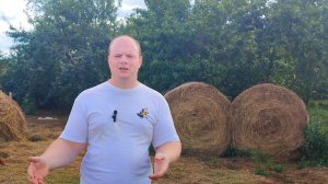 Как вырастить кур несушек / Куры не несут яйца / чем кормить кур