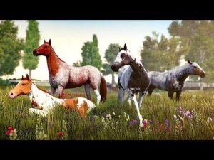 Новые жеребята и покупка лошади  Rival Stars Horse Racing