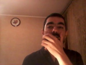 Old Hen Cackle. DeFord Bailey cover/Курится-смеется #stratocastro #harmonica #harp #губнаягармошка