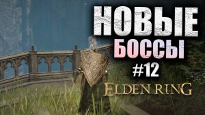 ИССЛЕДОВАНИЕ БОЛЬШОГО МИРА ELDEN RING #12 (16+)