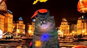 Cat Stepan in different languages meme (PART 2)