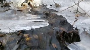 Расслабление, отдых под звуки ручья весны