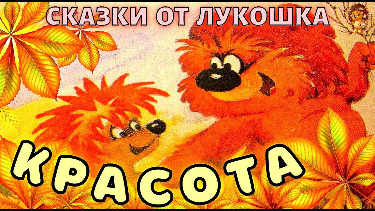 Красота — Сказка | Трям Здравствуйте | Сергей Козлов | Аудиосказка | Сказки с картинками