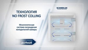 Обзор холодильника Scandilux R 711 Y02 W