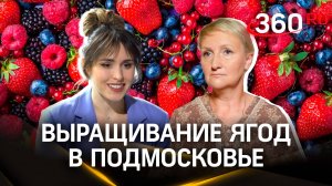 Одна из самых перспективных фермерских ниш сегодня – это выращивание ягод