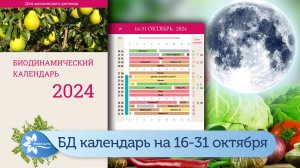 Биодинамический лунный календарь на вторую половину октября 2024.
