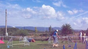 4 9 2010 Most   Rastava   agility začátečníci   Hanka a Sára