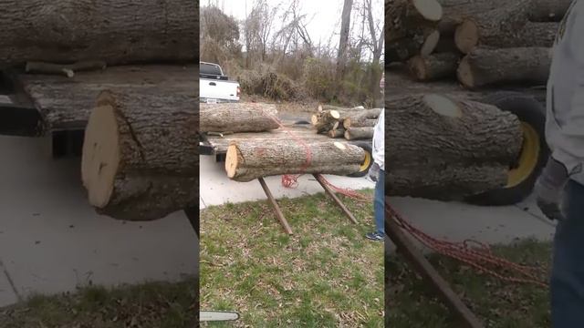Urban Logging with Tracy Henderson