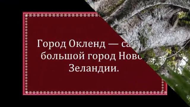 Новая Зеландия...