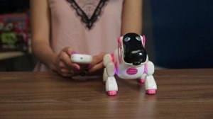 Робот Автоград радиоуправляемый интерактивный «Киберпес Ки Ки» ( Арт ДетМир - 1000845710 )