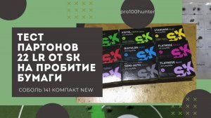 SK 22lr тест на пробитие