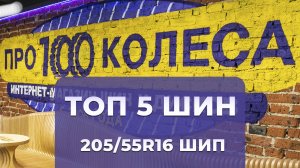 ТОП 5 зимних шипованных шин в размере 205/55R16 от магазина ПростоКолеса.РФ - сезон 2024/2025г.