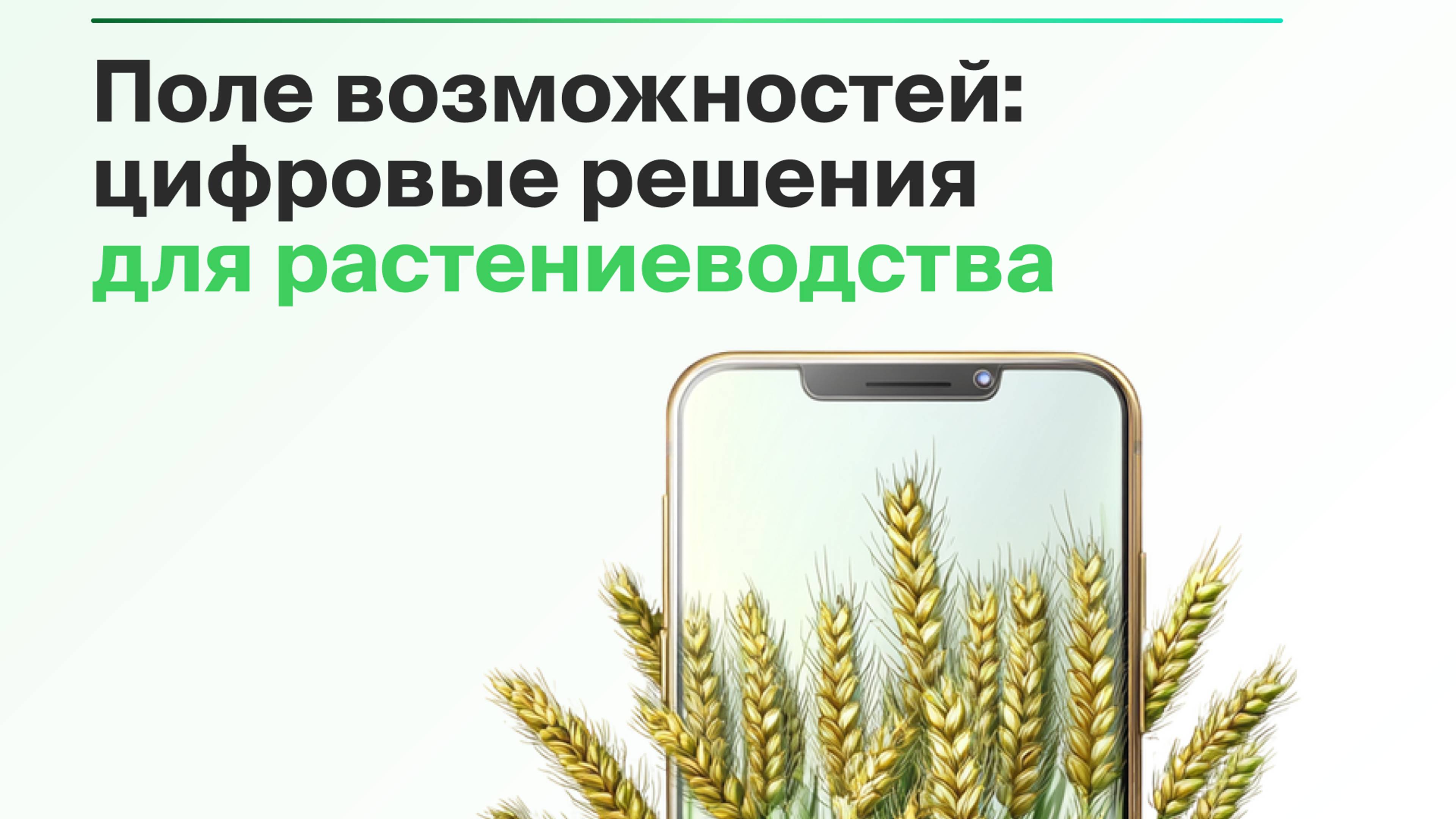 Поле возможностей цифровые решения для растениеводства