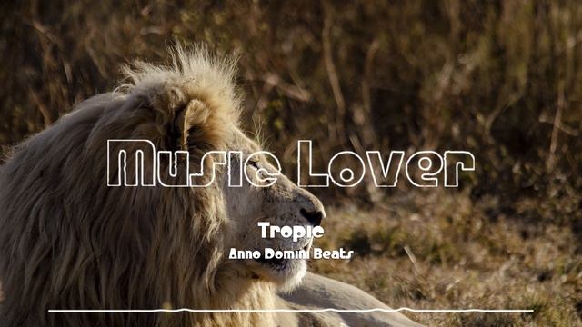 🎵 Tropic - Anno Domini Beats 🎧 No Copyright Music 🎶 YouTube Audio Library