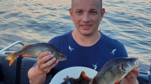 Наловили ведро крупных окуней! Рыбалка троллингом на Волге. Чебоксарское водохранилище.