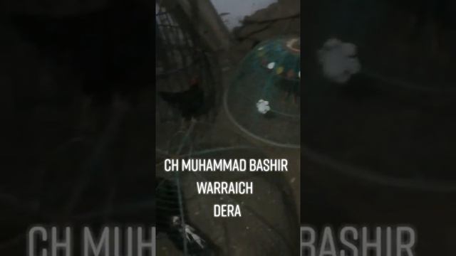 chaudhary Mohammad Bashir Warraich ka Dera Bhalwal