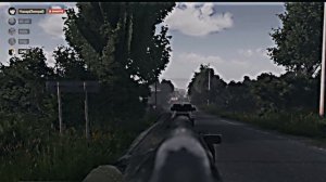 DayZ