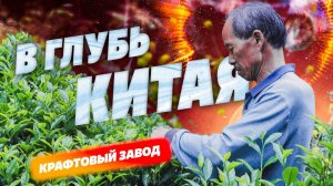 В глубь Китая! Древняя деревня с Тулоу, крафтовое чайное производство, древний чайный сад.