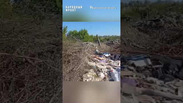 Сами намусорили, сами убрали в Россоши ликвидировали незаконную помойку размером в 3 га