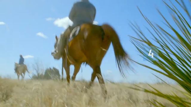 Haapasalo Goes America -sarjassa lähdetään ottamaan selvää Amerikasta смотреть онлайн