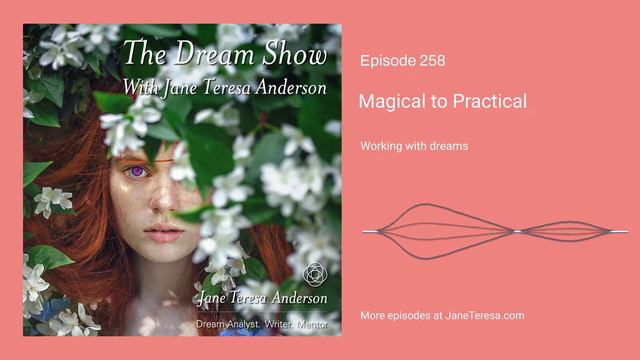 Episode 258 The Dream Show with Jane Teresa Anderson Magical to Practical смотреть онлайн