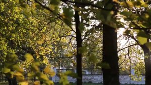 Я сегодня влюблен в этот вечер, Близок сердцу желтеющий дол. Осень в Константиново.