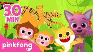 Monkey Banana and other Animal Songs! | Compilation | Rhymes for Kids | Pinkfong & Baby Shark