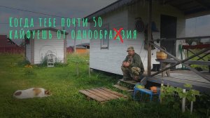 11.08.2024 Спокойствие и  только спокойствие ,все стабильно и это радует.