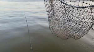 Рыбалка в Астрахани 2020 Сом 9,3 кг