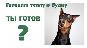Как сделать обогрев будки , собаки. Доберман на улице :часть2