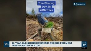 Quebecer breaks world record for amount of trees planted in a day