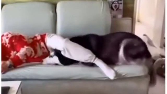 Лучше всякой игрушки смотреть онлайн