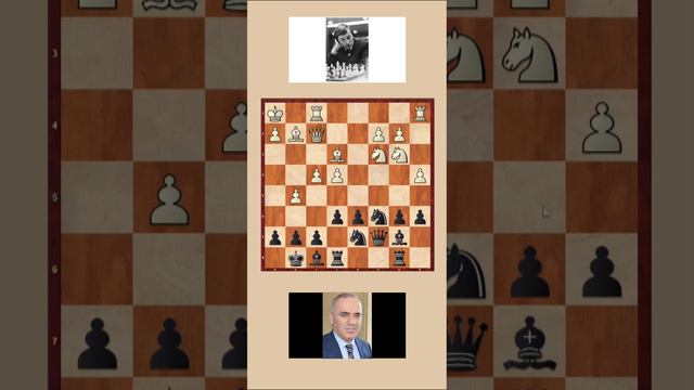 || Scheveningen Sicilian || Anatoly Karpov vs Gary Kasparov