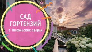 КП Никольские Озёра 2018 год _ Гортензии в саду