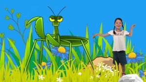 Looking at Bugs | Sing and Play Blue Adventures | Simple Skits and Songs for Kids