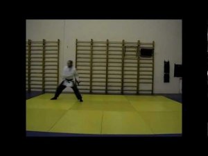 Тоицу но тонфа нидан toitsu-ryu russia